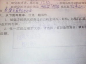 学习情况怎么写