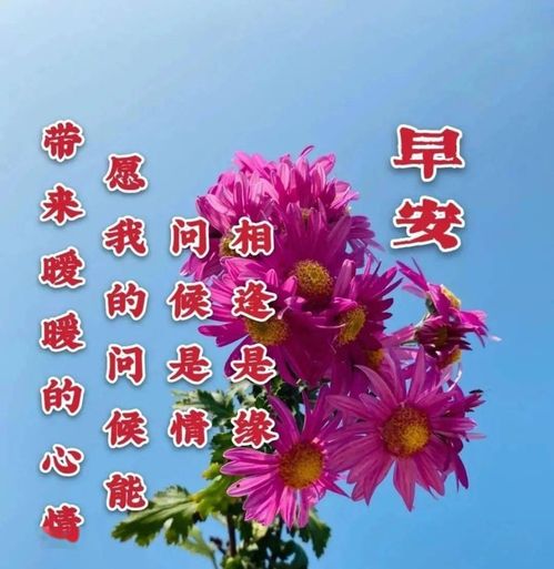 每天早上问候语