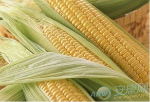 梦见收玉米有什么预兆到收玉米什么意思