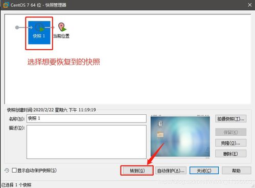 克隆的意思，克隆的意思是什么