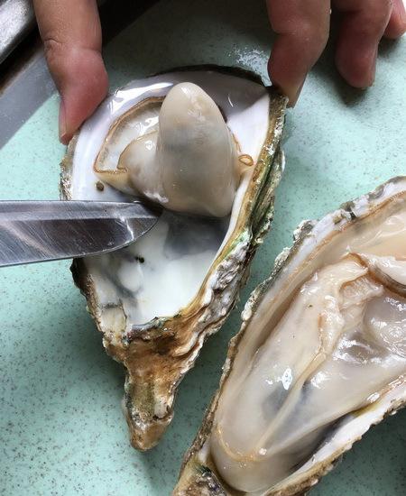 洗生蚝的正确方法