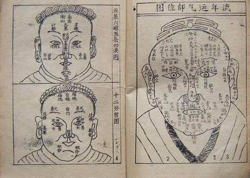 麻衣神相之神相天书，麻衣神相之神相天书完整版