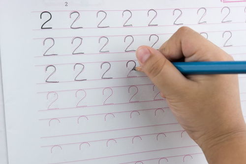 “姓名”的拼音怎么写?