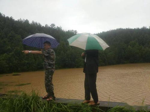 风雨中是你的身影，风雨中是你的身影是你的脚步默默保守我这么多年