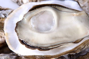 生蚝开口了还能吃吗，生蚝变质的样子图片