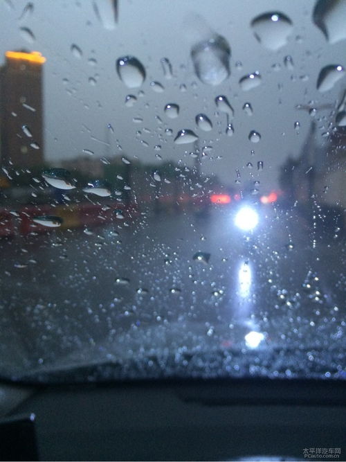下雨了,什么动物躲在什么伞下