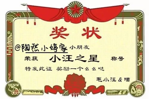 奖状内容，奖状内容怎么写