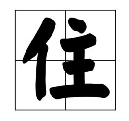 住组词