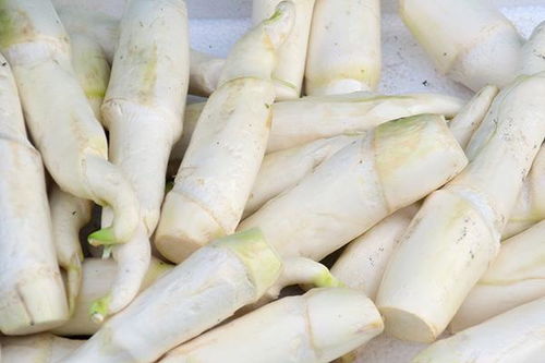 春笋冬笋有什么区别