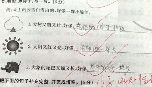 不管……都……造句