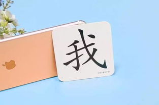 “姓名”的造句有哪些?