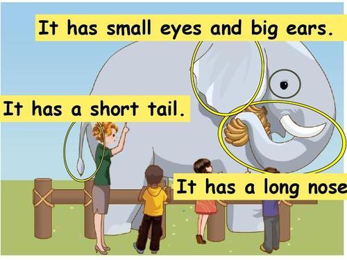 ears怎么读，ears怎么读音发音s还是z