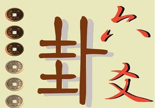 六爻怎么读，六爻怎么起卦