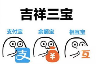 宝是什么意思，臭宝是什么意思