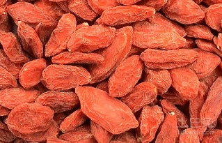 哪位知道贡果枸杞的情况