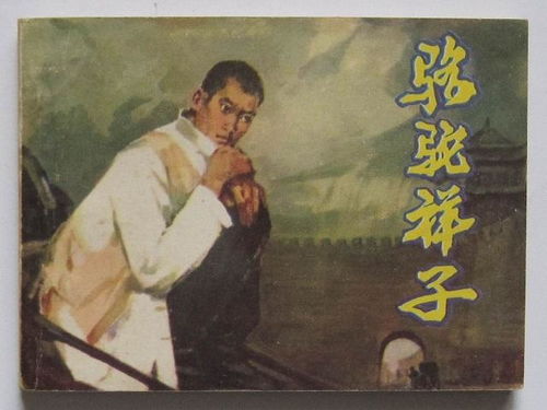 《骆驼祥子》第五章好词好句摘抄有哪些?