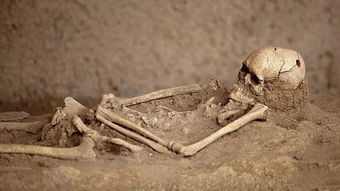 遗骸是什么意思