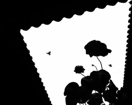 剪影怎么剪，剪映怎么剪辑音乐