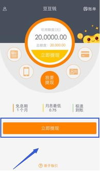 什么是豆豆钱