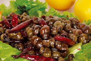 田螺有寄生虫吗，田螺有寄生虫吗图片