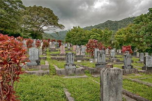 梦见墓地好多坟墓，梦见墓地好多坟墓还有好多人在挖坟