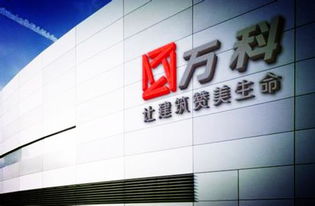 万科是怎么样一家公司?