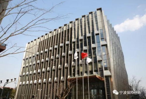 上海苔熙拍卖公司是不是假的