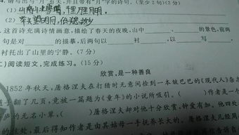 鸟鸣涧这首诗的意思，鸟鸣涧王维诗意