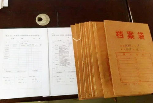 存档案，存档案职介