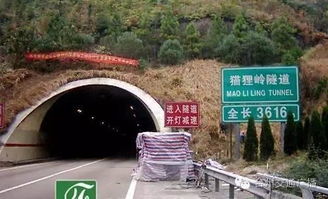 猫狸岭隧道，猫狸岭隧道8.27事故