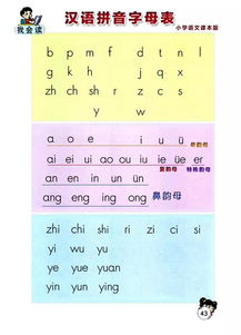 年的拼音怎么写，莲的拼音怎么写的拼音