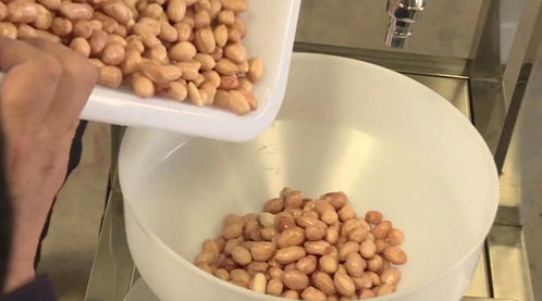 花生豆，花生豆腐生产设备多少钱一台