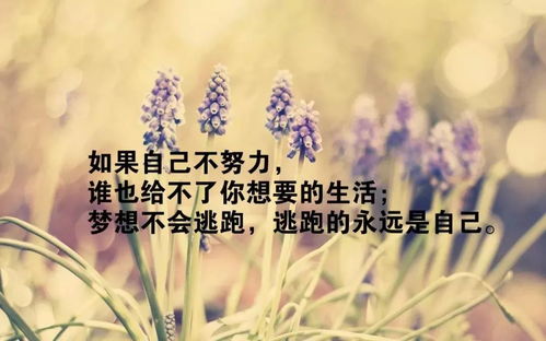 感悟人生是什么意思，感悟人生的句子经典