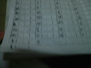 腮的形近字组词，腮的形近字组词及拼音