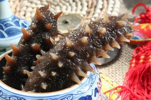 海参是补什么的?