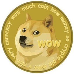 doge是什么币种?
