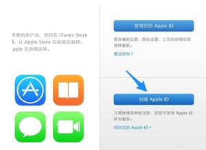 apple id密码是什么