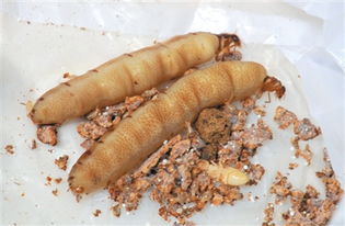 蚁后为什么变成大白虫，蚁后是怎么来的