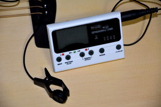 定音器，定音器和节拍器下载