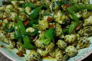 花螺的正确吃法图解，花螺哪些部位不能吃