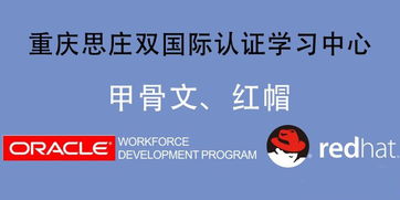 oracle考试中心，oracle考试报名网站