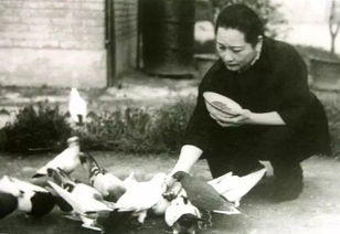 宋庆龄先生