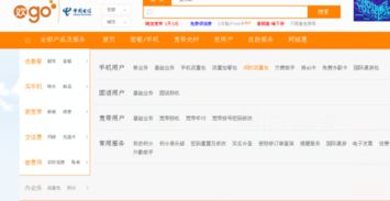 国内闲时流量是什么意思，国内闲时流量是啥