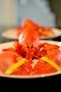 怎么做好吃的波士顿龙虾步骤详解