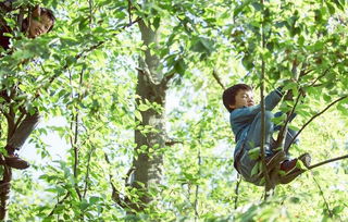 爬树是什么意思，爬树是什么意思网络用语