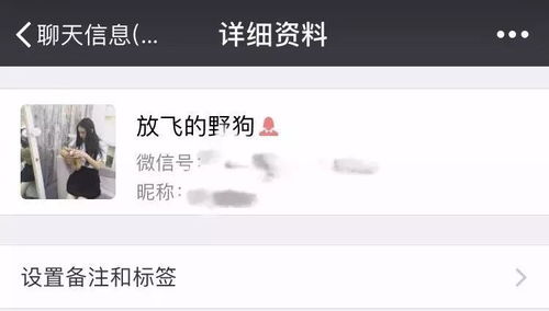 可以给男朋友备注的英文有哪些?