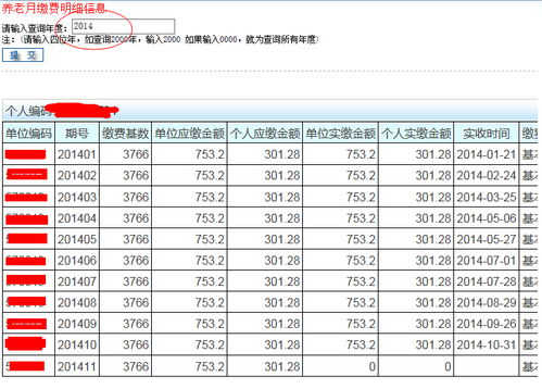 公司交的社保在哪里查询