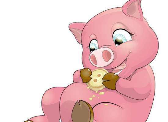 属猪和属鸡的相配吗两人合不合