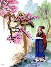 《游园不值》的诗意