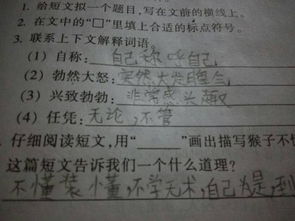 任凭是什么意思，任凭是什么意思解释一下